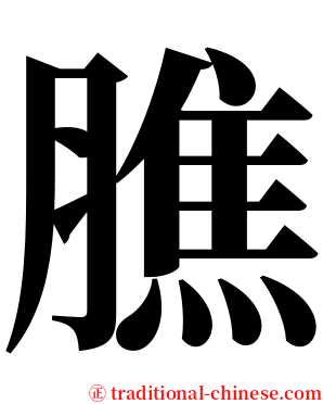 膲 serif font