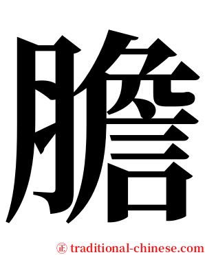 膽 serif font