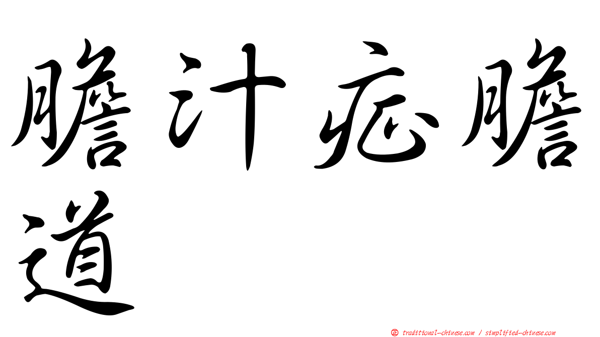 膽汁症膽道