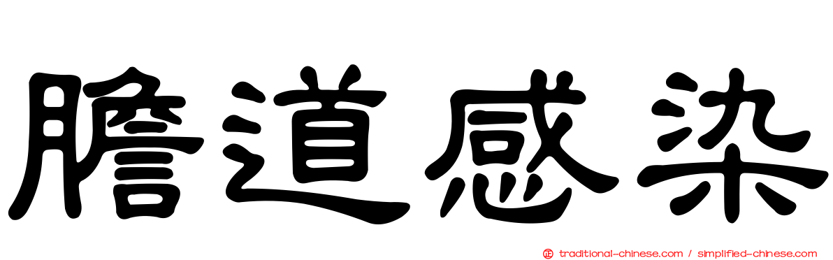 膽道感染