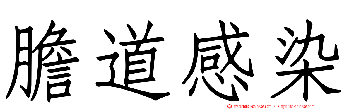 膽道感染