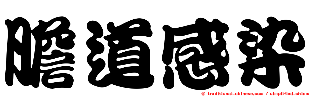 膽道感染
