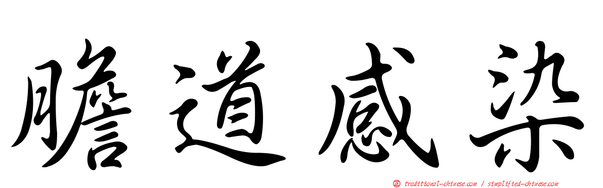 膽道感染