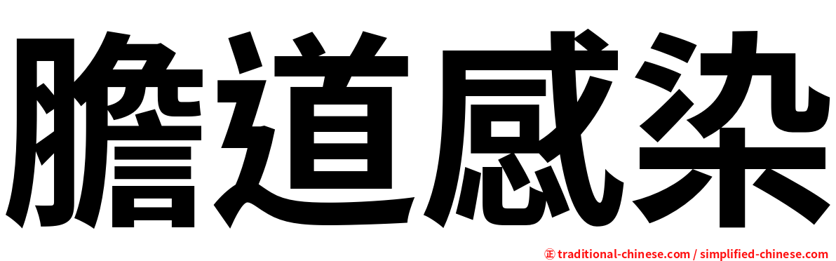 膽道感染