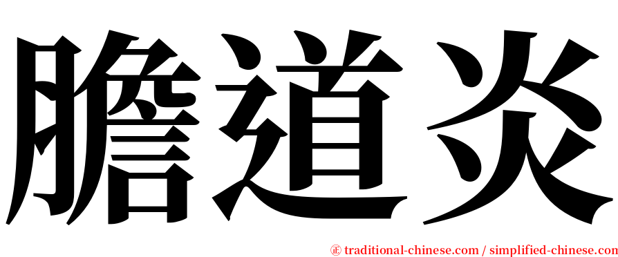 膽道炎 serif font
