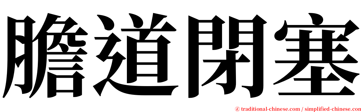 膽道閉塞 serif font