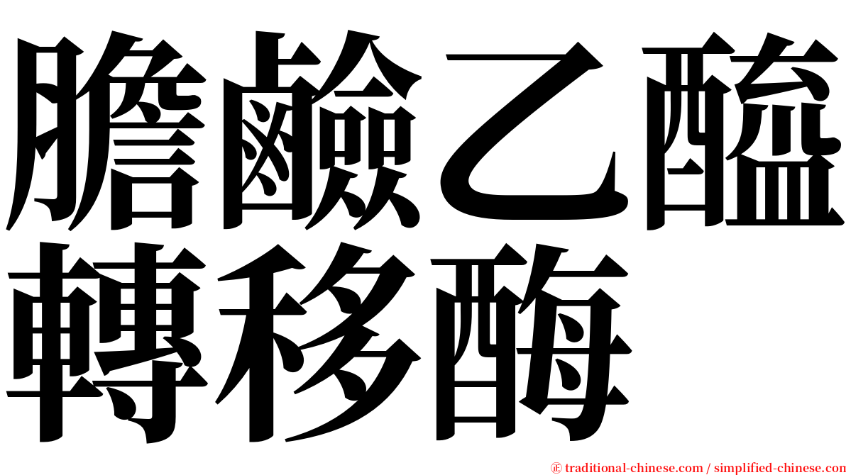 膽鹼乙醯轉移酶 serif font