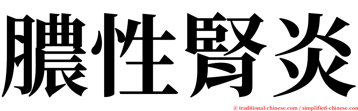 膿性腎炎 serif font