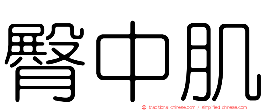 臀中肌