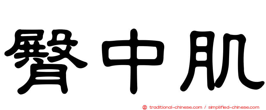 臀中肌