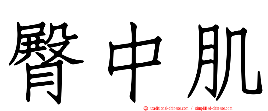 臀中肌