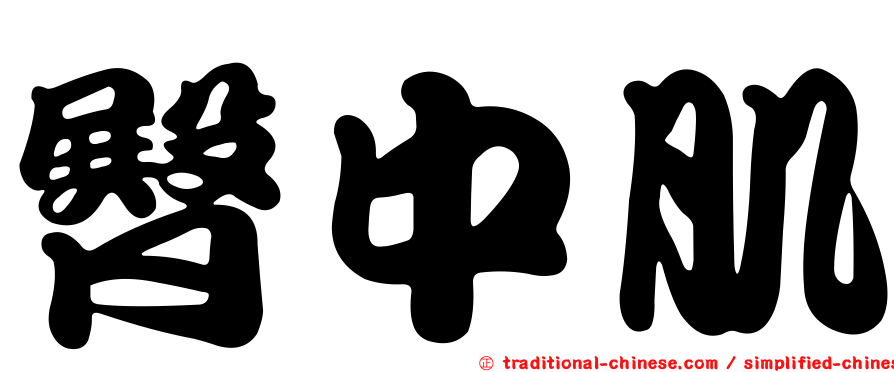 臀中肌