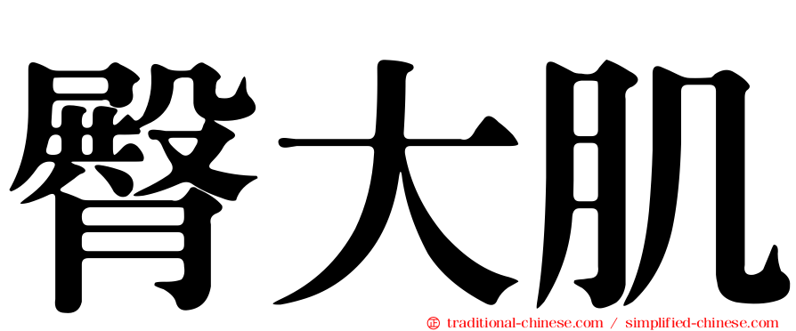 臀大肌