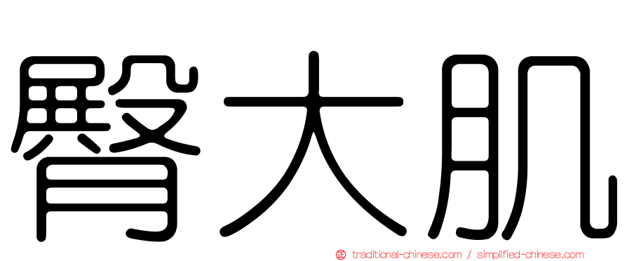 臀大肌