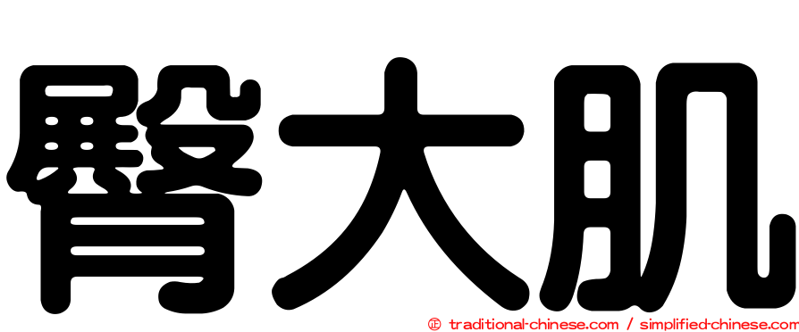 臀大肌