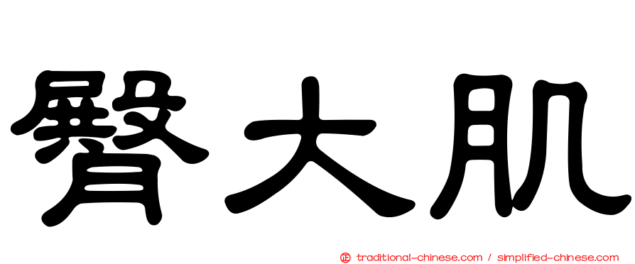 臀大肌