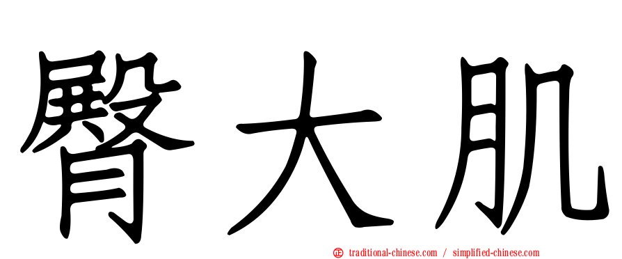 臀大肌
