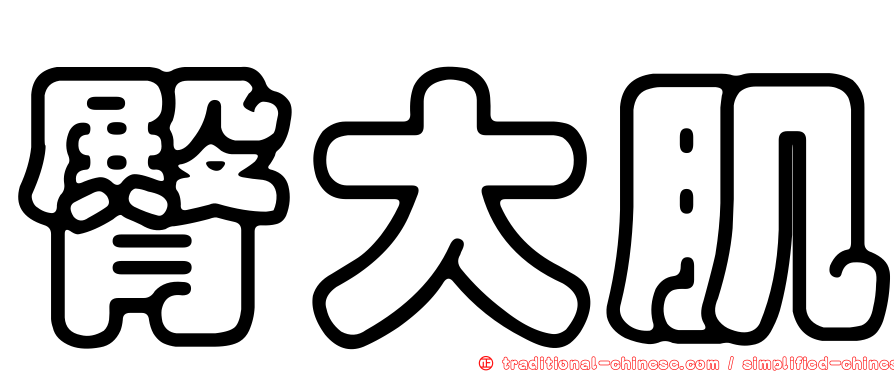 臀大肌
