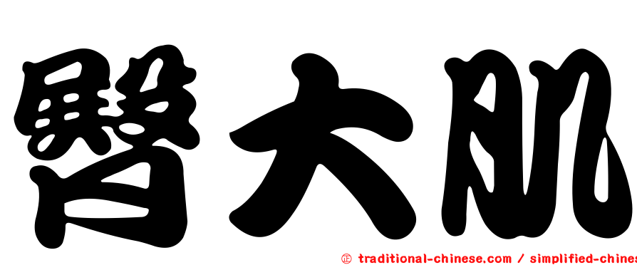 臀大肌