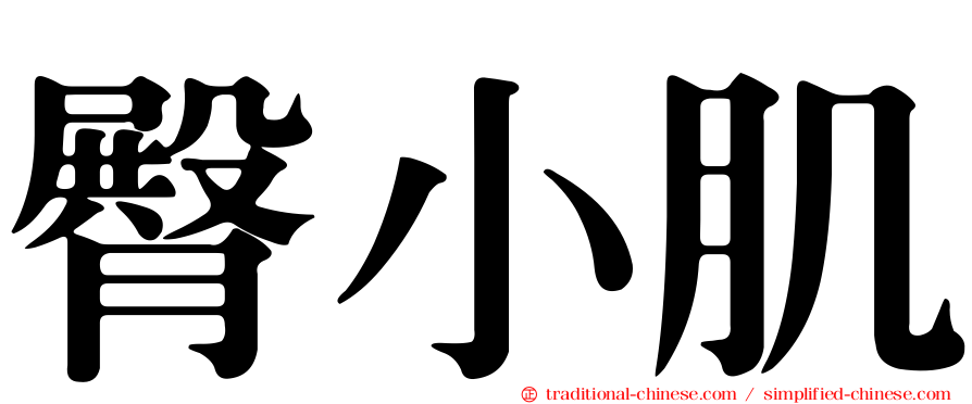 臀小肌