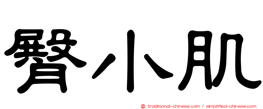 臀小肌