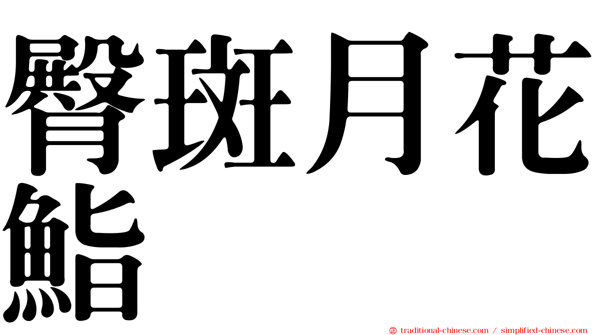 臀斑月花鮨