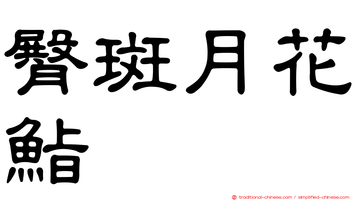 臀斑月花鮨