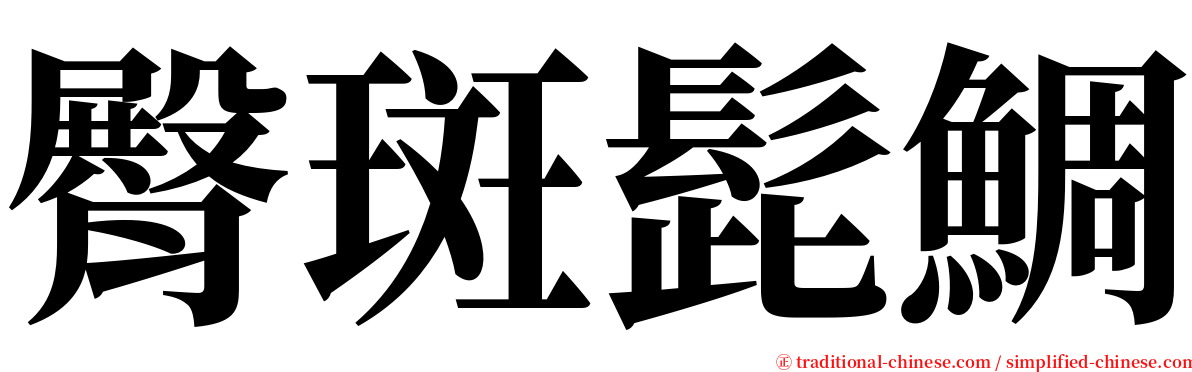 臀斑髭鯛 serif font