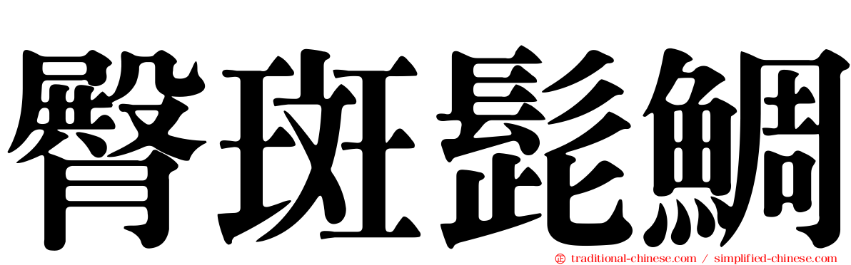 臀斑髭鯛