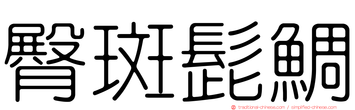 臀斑髭鯛