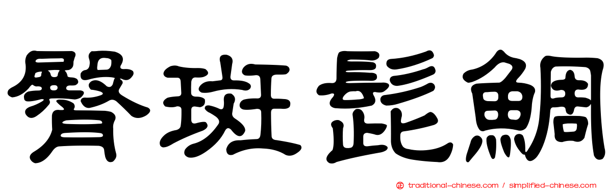 臀斑髭鯛