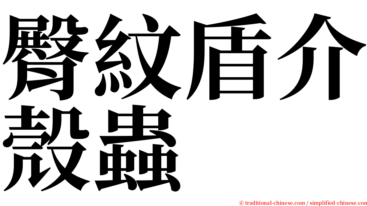 臀紋盾介殼蟲 serif font
