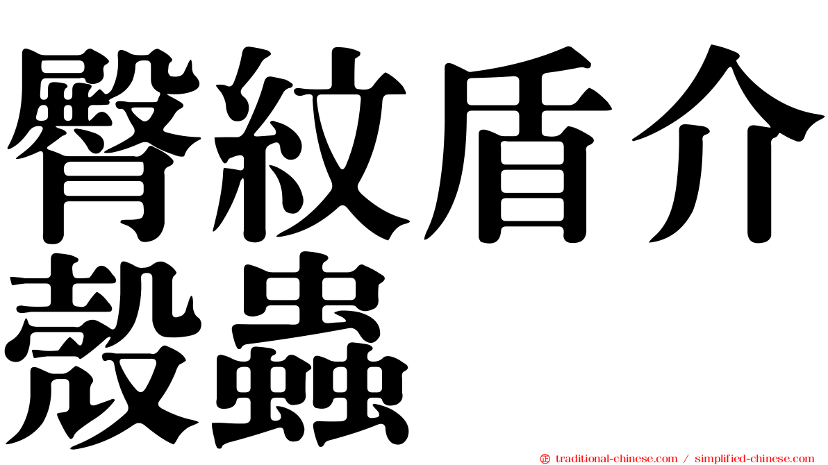 臀紋盾介殼蟲