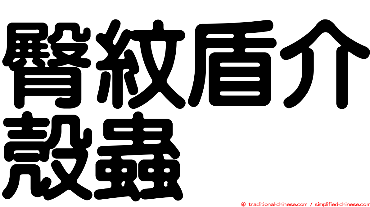 臀紋盾介殼蟲
