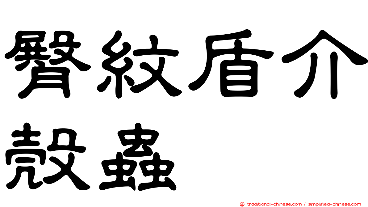 臀紋盾介殼蟲
