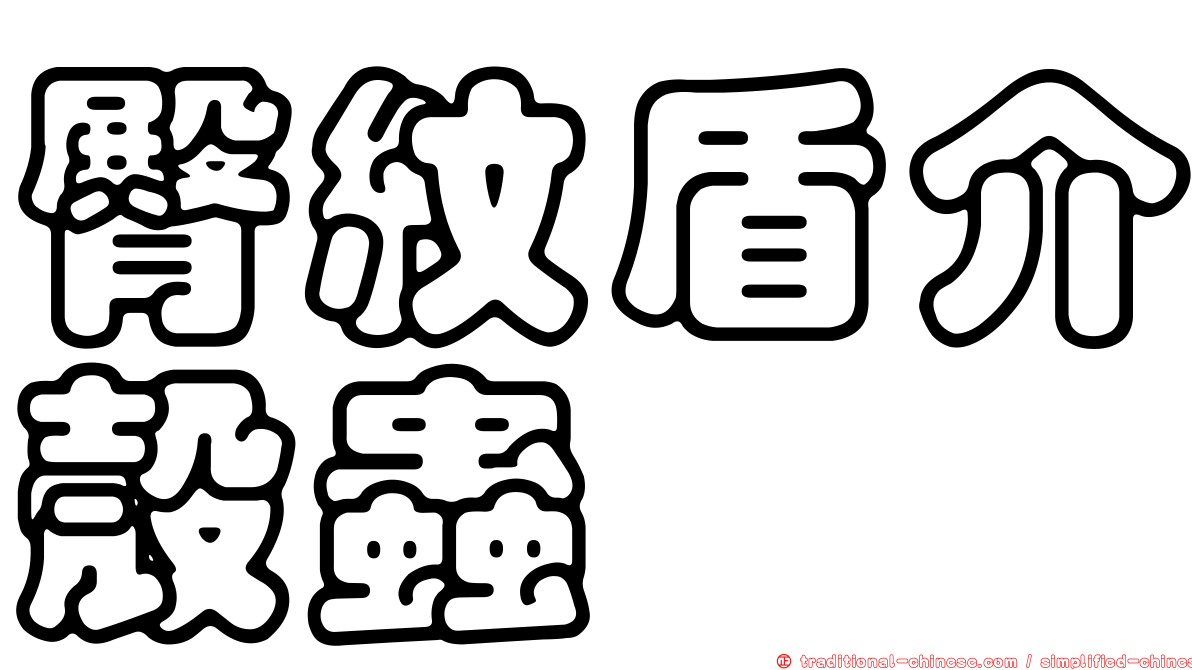 臀紋盾介殼蟲