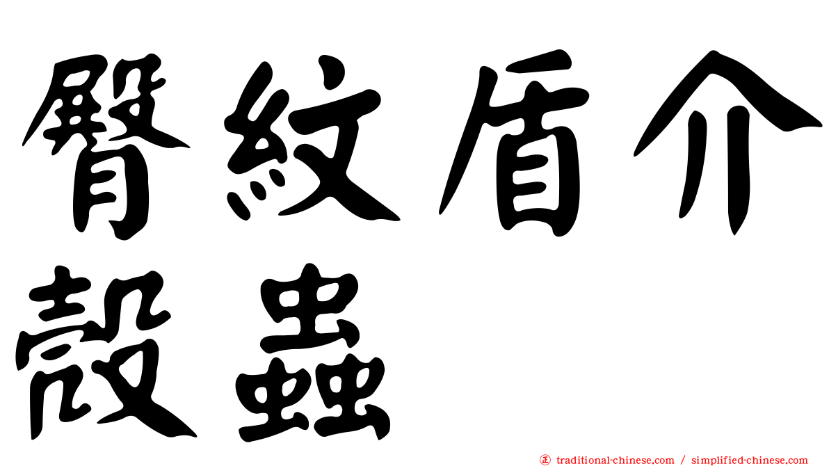 臀紋盾介殼蟲