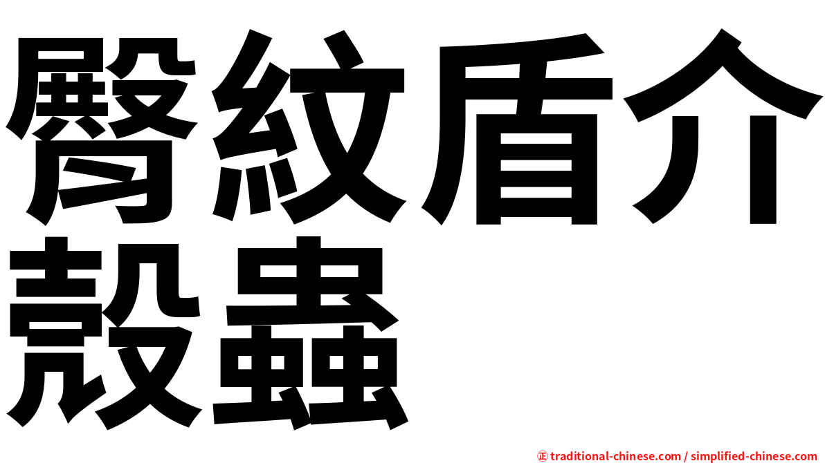 臀紋盾介殼蟲
