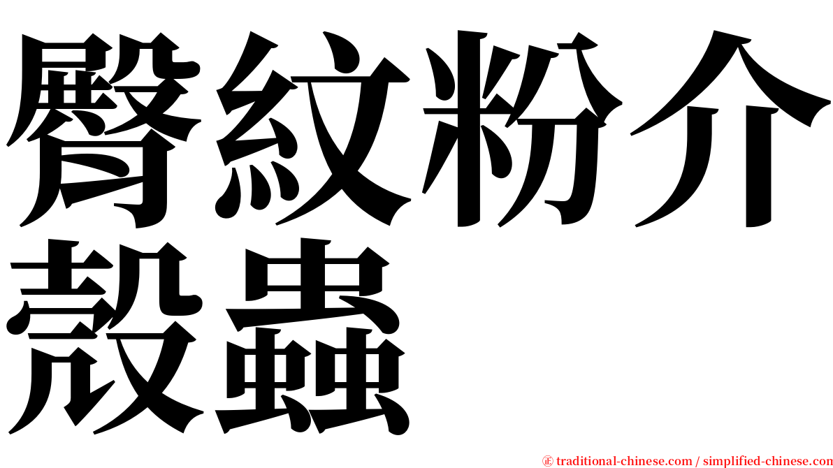 臀紋粉介殼蟲 serif font