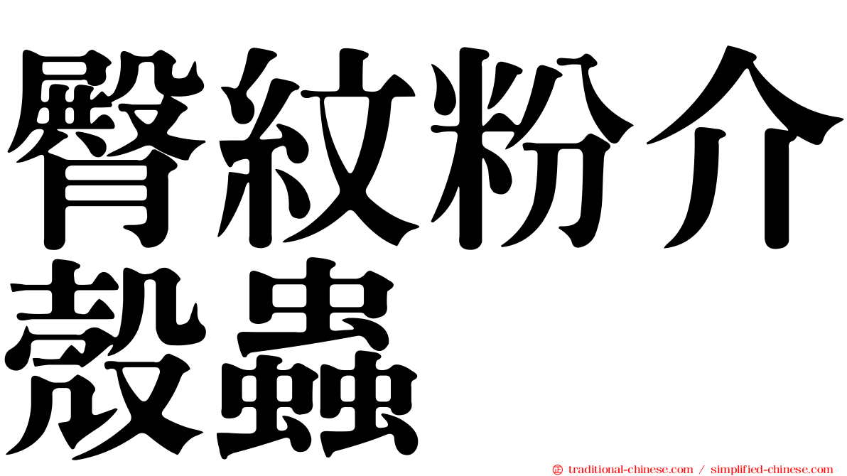 臀紋粉介殼蟲