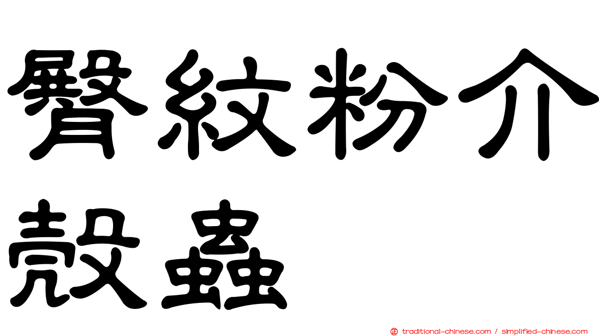 臀紋粉介殼蟲