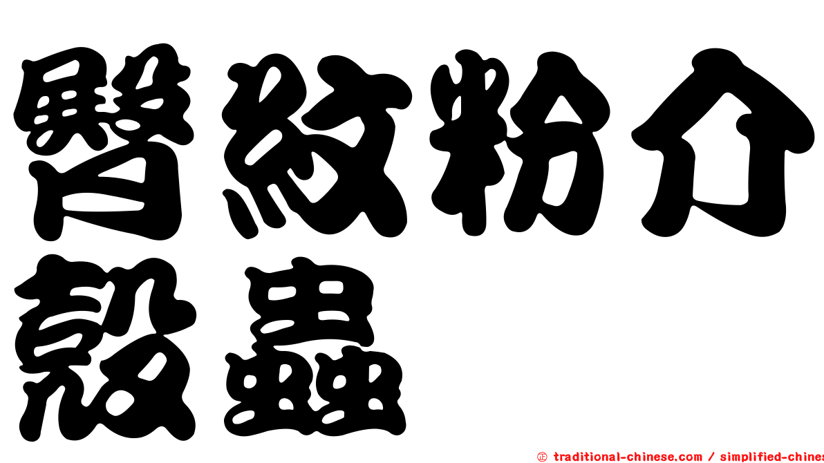臀紋粉介殼蟲