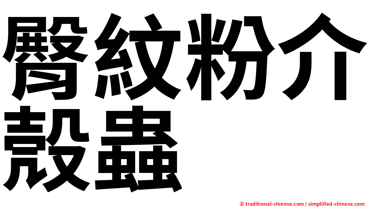 臀紋粉介殼蟲