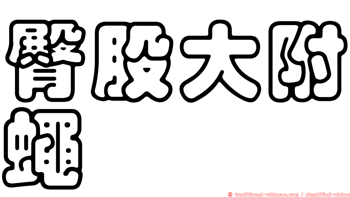 臀股大附蠅