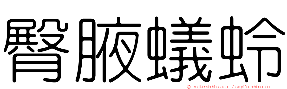 臀腋蟻蛉
