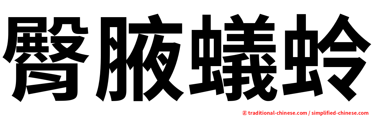 臀腋蟻蛉