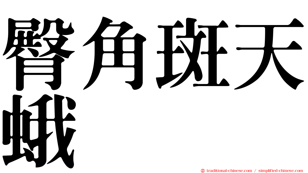 臀角斑天蛾