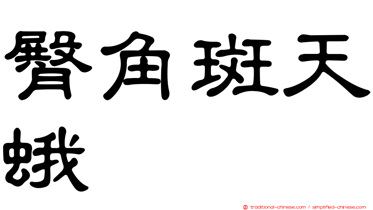 臀角斑天蛾