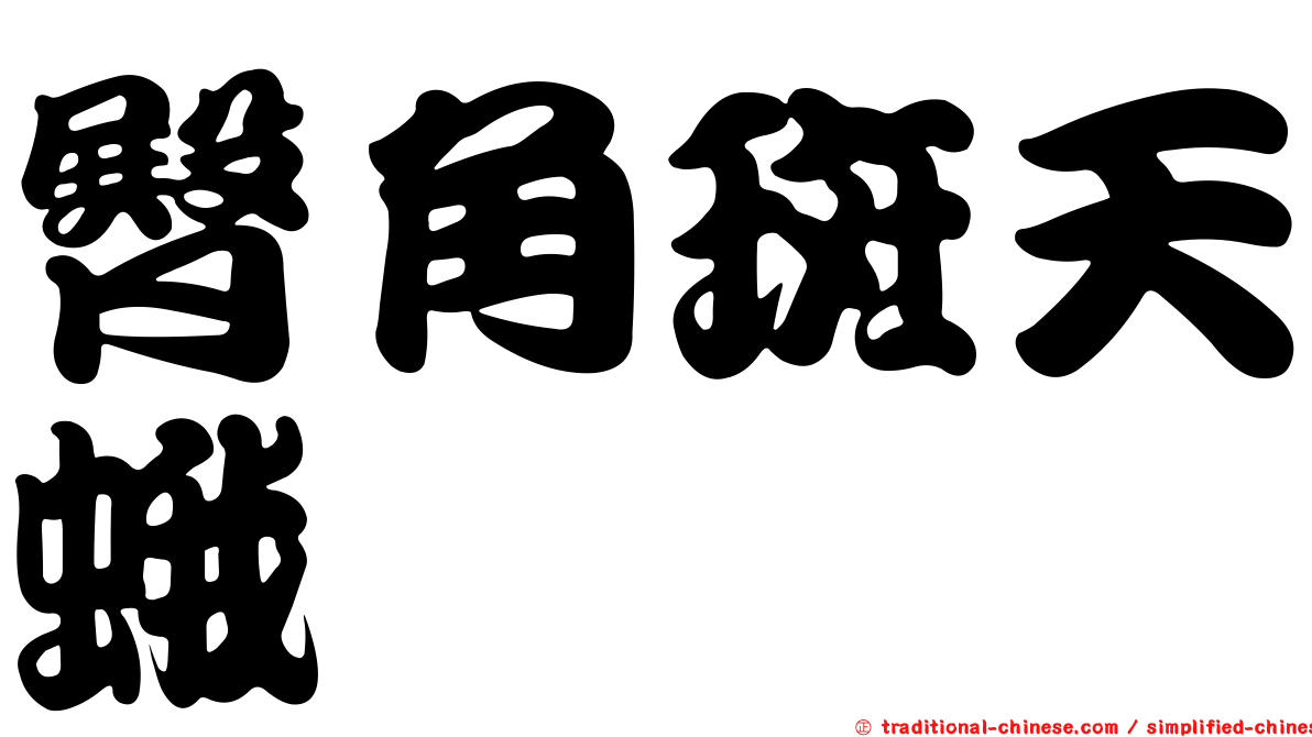 臀角斑天蛾