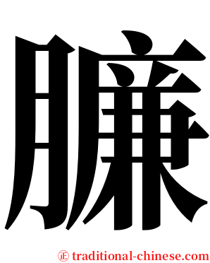 臁 serif font